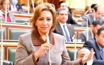 النائبة مها عبد الناصر