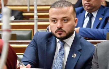 محمد الجارحي رئيسا للجنة المشروعات الصغيرة