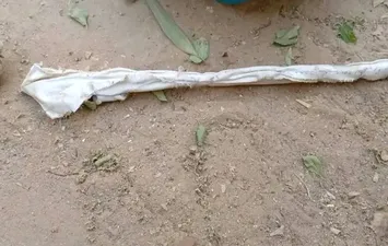 العمل الذي تم العثور عليه 