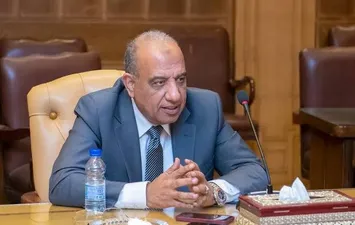 وزير الكهربا