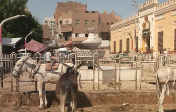 صور من امام المسجد العمري