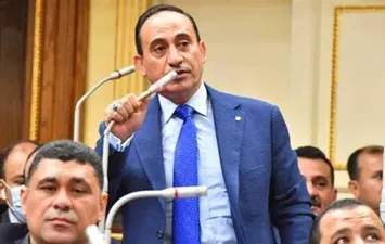 النائب محمد عبد الله زين الدين