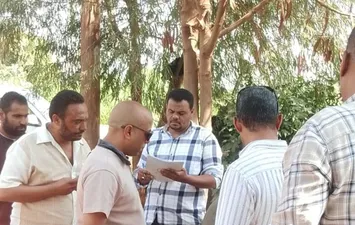 الفاعلية 