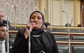 النائبة سناء السعيد