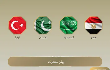 مصر والسعودية وباكستان وتركيا