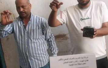 الفاعلية 