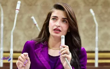 النائبة إيرين سعيد
