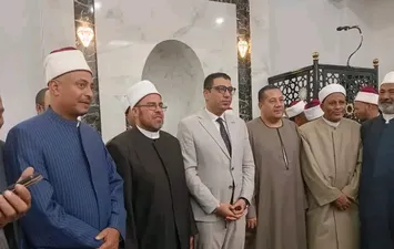 الفاعلية 