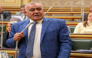 النائب لطفي شحاتة