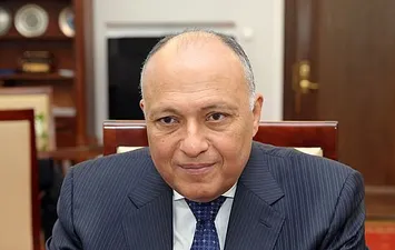 وزير الخارجية السابق سامح شكري