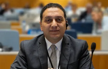 متحدث الوزراء 