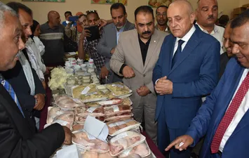 الفاعلية 