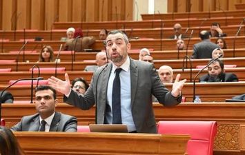 النائب د. محمد فؤاد