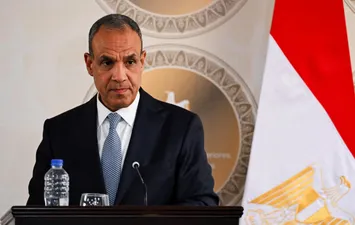 وزير الخارجية بدر عبدالعاطي 