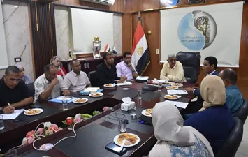 الفاعلية 