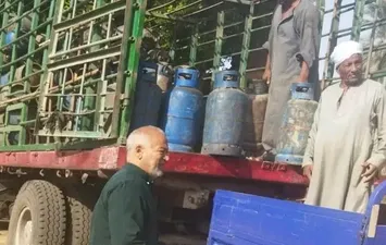 الفاعلية 