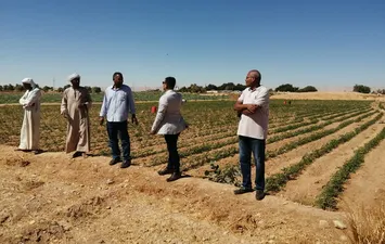المتابعة 