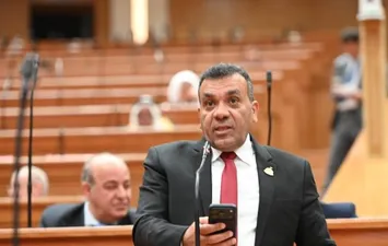النائب أشرف مرزوق 