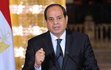 الرئيس السيسي 