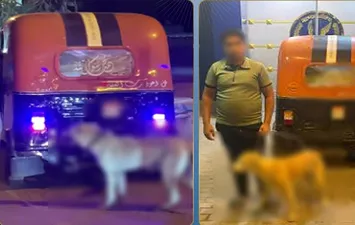 ضبط سائق توك توك ربط كلب وسحله 