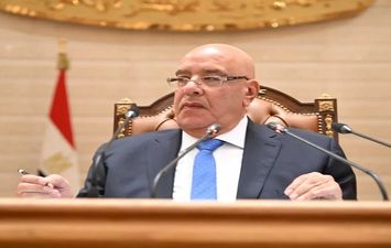 المستشار هشام بدوي