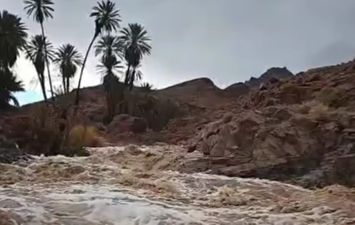 أرشيفية