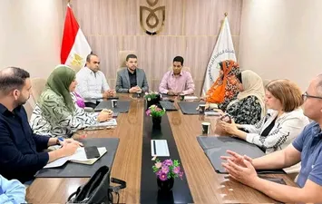 الفاعلية