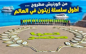 أطول سلسلة زيتون في العالم