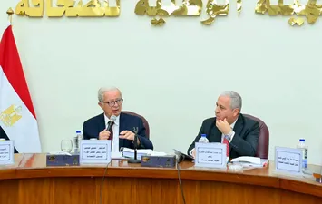 الاستدامة المالية