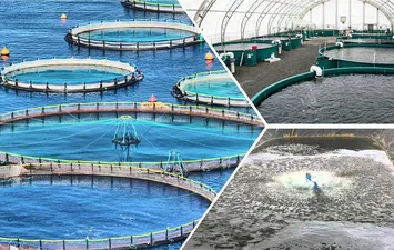 الاستزراع السمكي