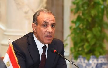 الدكتور بدر عبد العاطي وزير الخارجية