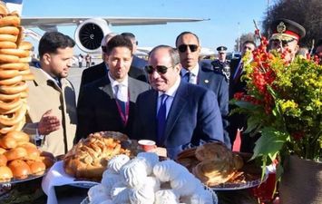  الرئيس السيسي