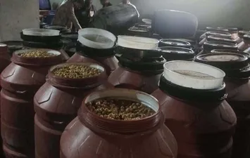 الزيتون المضبوط