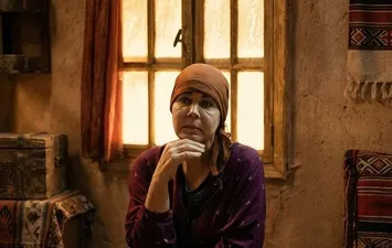 الفنانة نجاح حسن