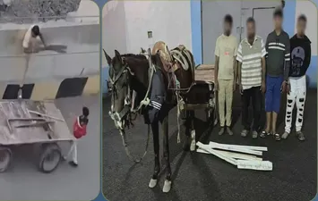 المتهمين 