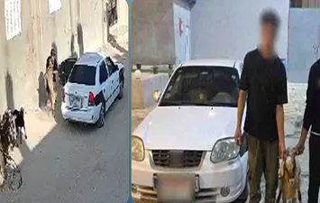 المتهمين بسرقة أغنام بالعريش