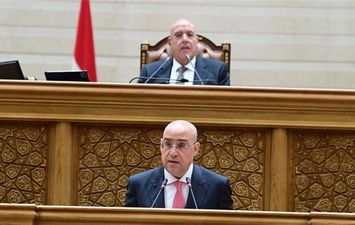 المستشار هشام بدوي 