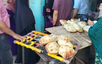 المنوفية 
