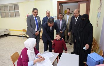 المنوفية 