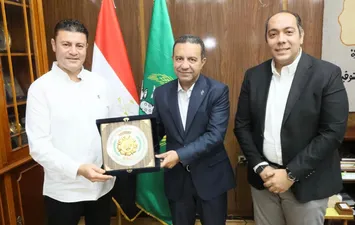 المنوفية 