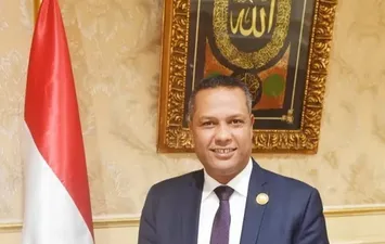 النائب محمد حمزة