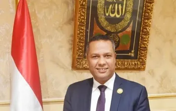 النائب محمد حمزة