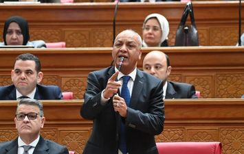 النائب مصطفى بكري 