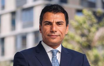 ايمن عامر