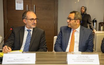 تنمية المشروعات 