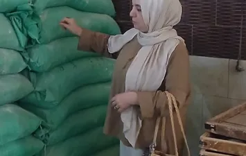 جانب من الحملات  