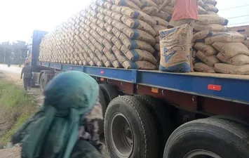 جانب من الحملة 