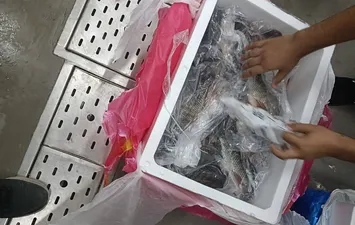 جانب من الضبطيات 