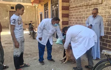 جانب من المتابعة