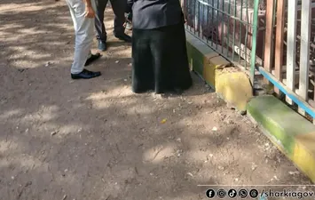 صور الحيوانات